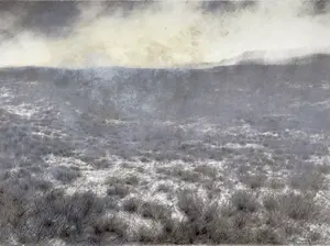 Explore the most recent prints printed and published by The Artists' Press.