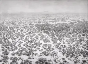 Explore the most recent prints printed and published by The Artists' Press.