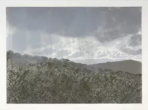 Archive of lithographs and monoprints done by Karin Daymond at The Artists' Press.