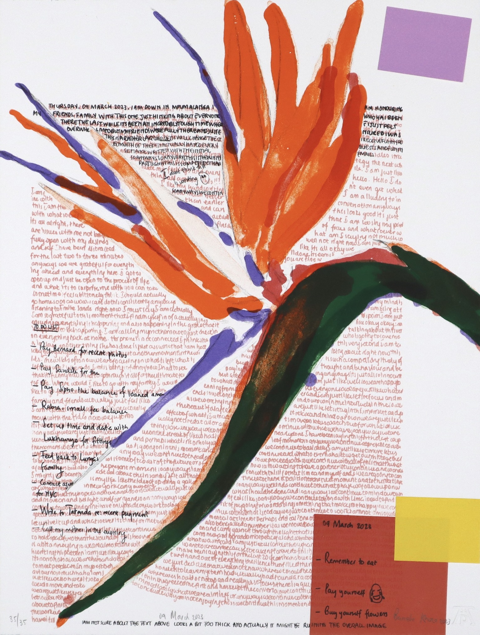 Banele Khoza colour lithograph of strelitzia with text