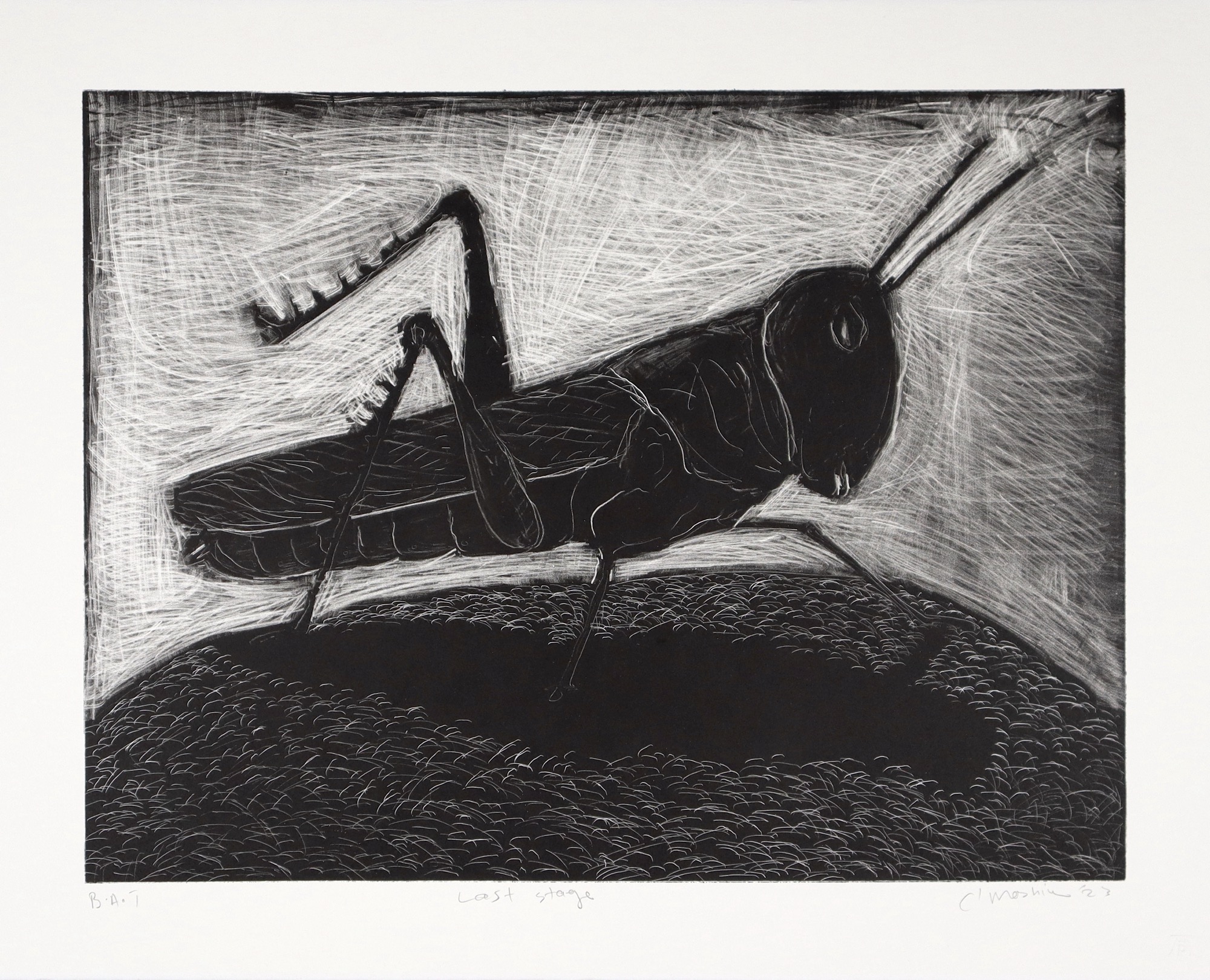 Colbert Mashile lithograph of a grasshopper