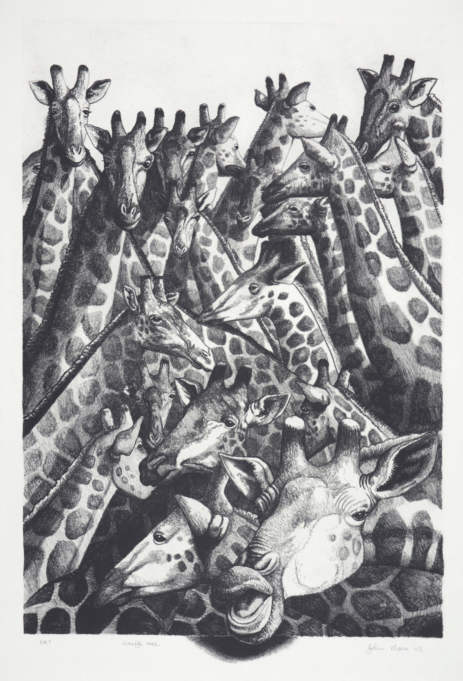An archive of lithographs by John Moore made at The Artists' Press