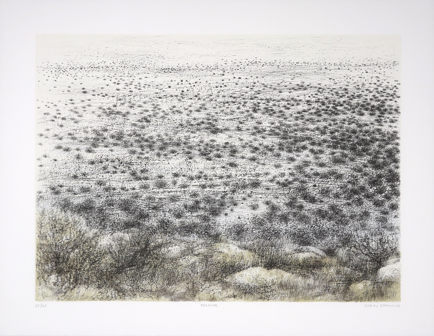 Monochromatic landscape showing the vastness of the Kalahari veld