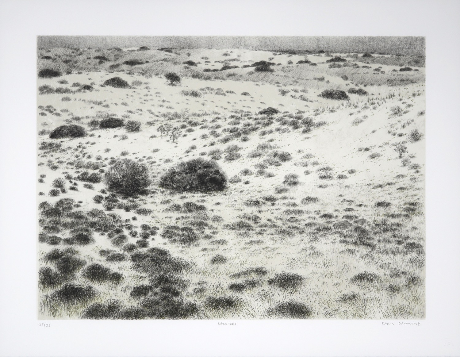 Litho of soft grass-covered dune landscape in the Kalahari Desert
