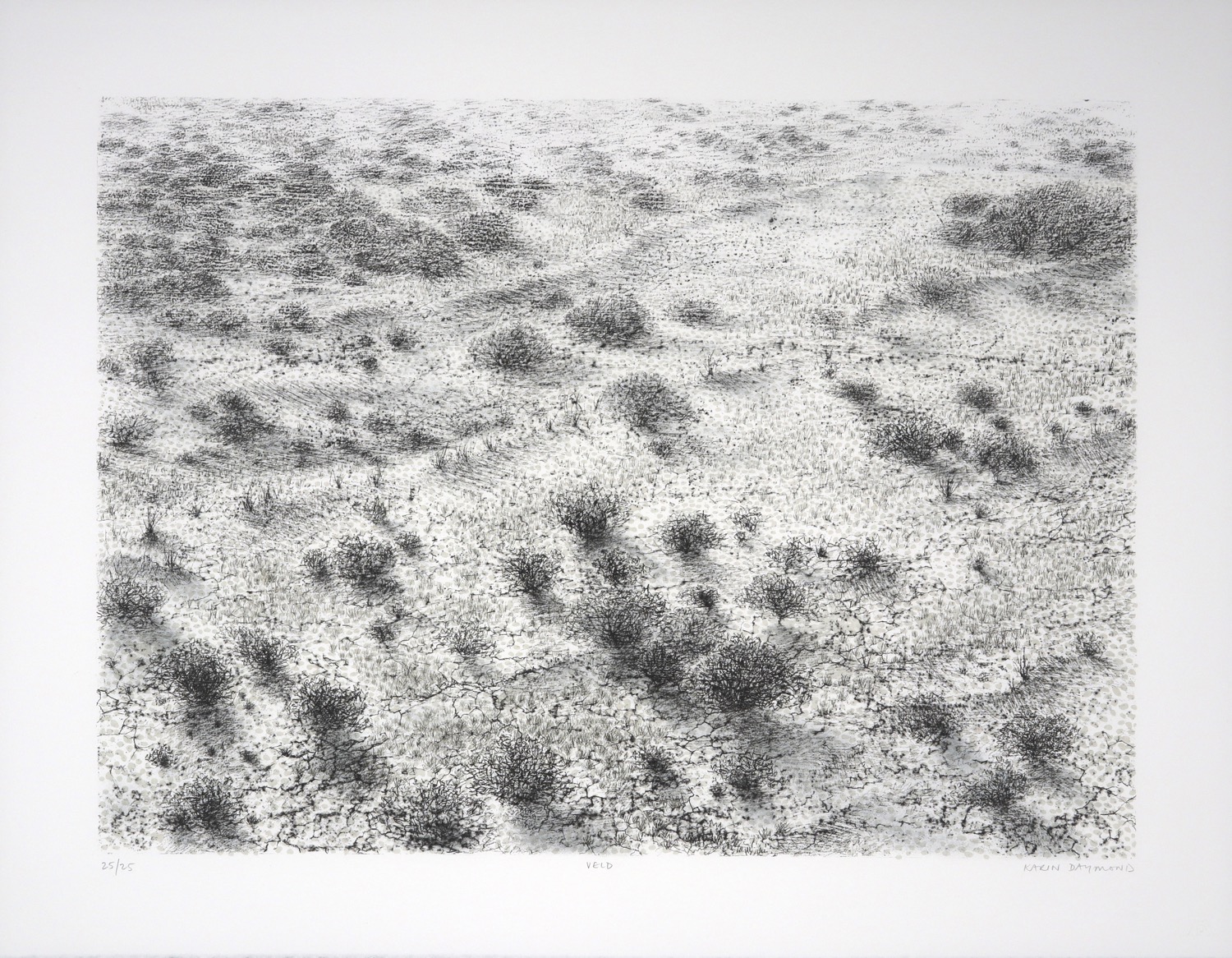 Litho of an aerial view of soft dunes in the Kalahari Desert with sparse plant cover