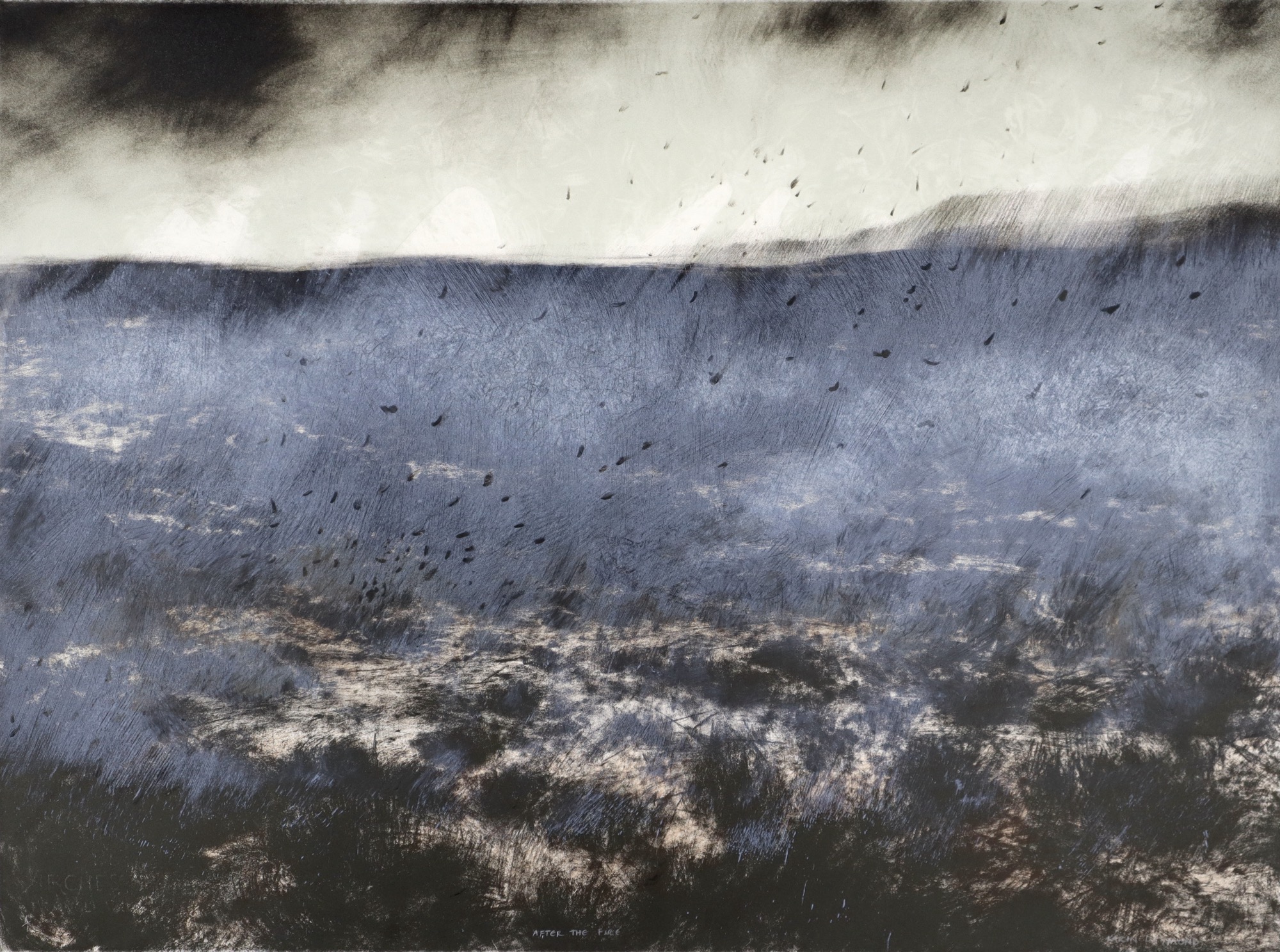 Karin Daymond After the fire