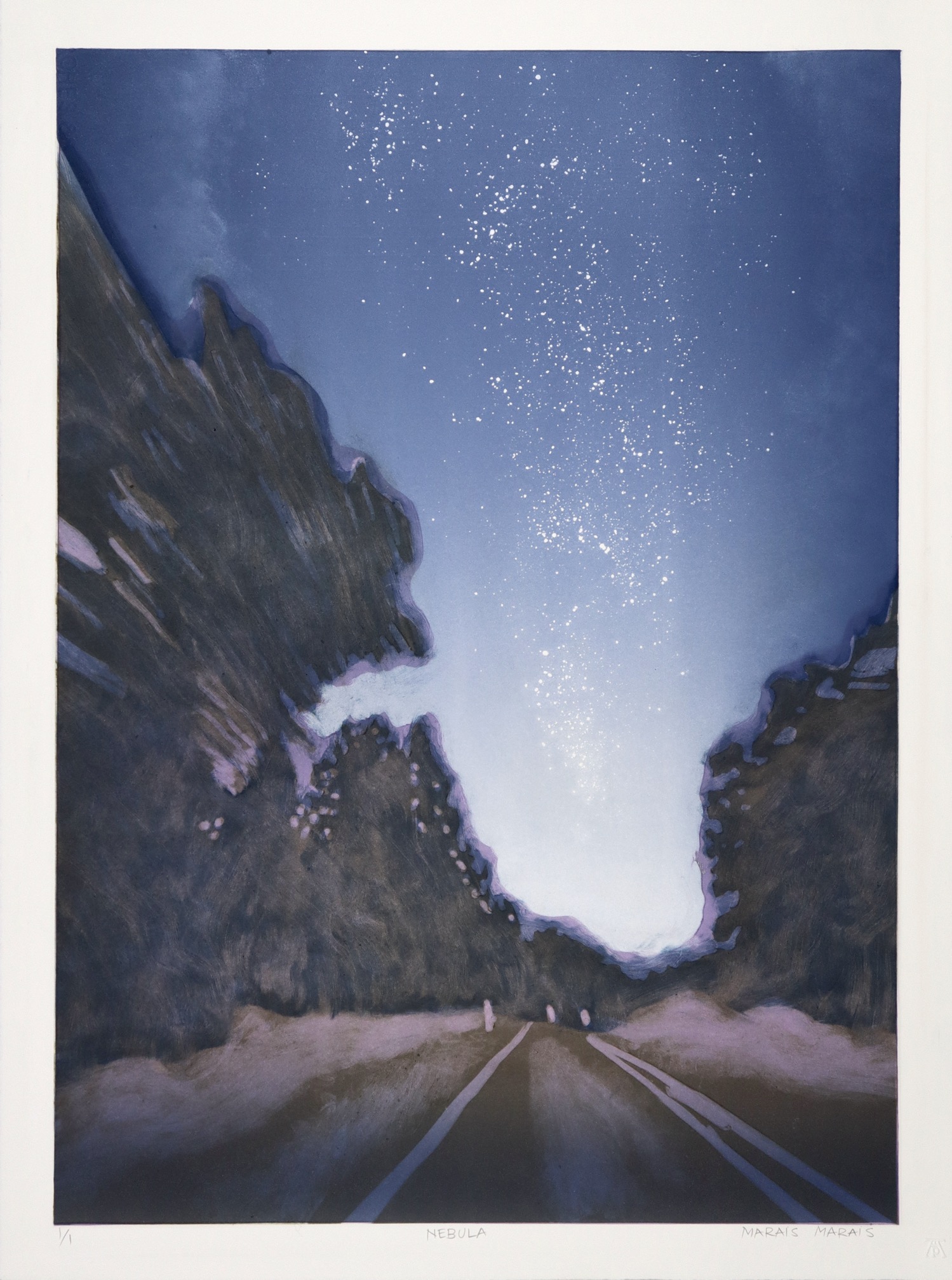 evening or dawn landscape with road, trees and starry sky