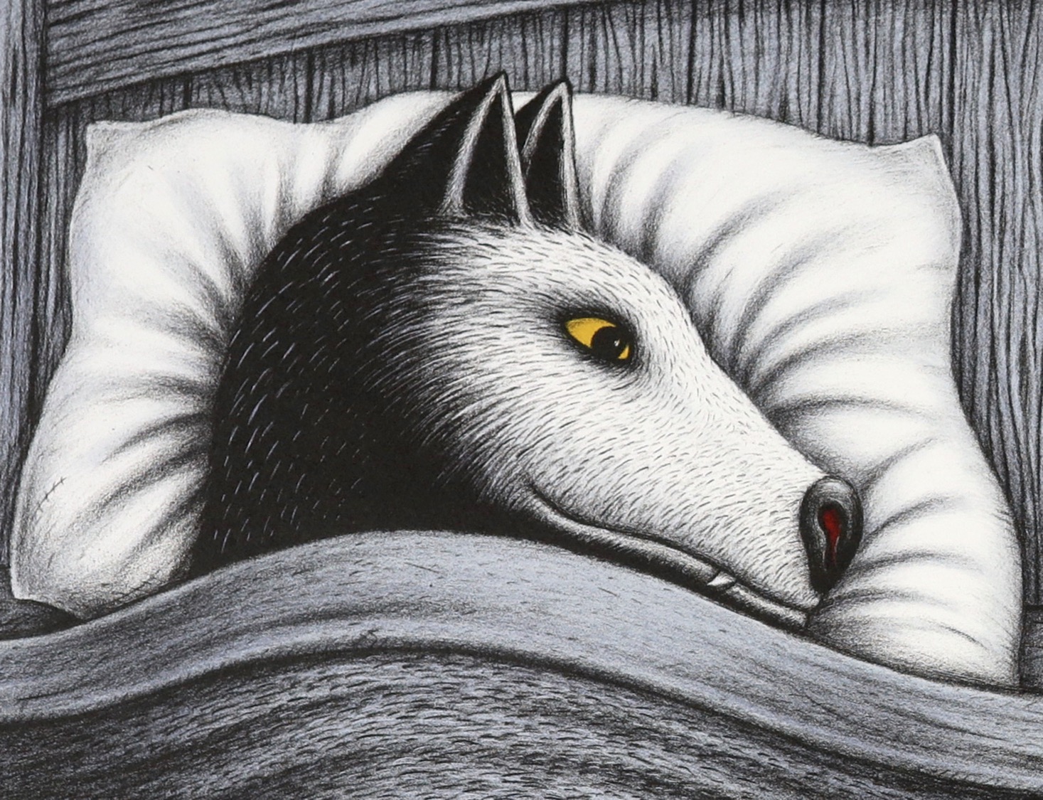 Detail of Bedfellows print showing the head of wide-awake dog resting on pillow