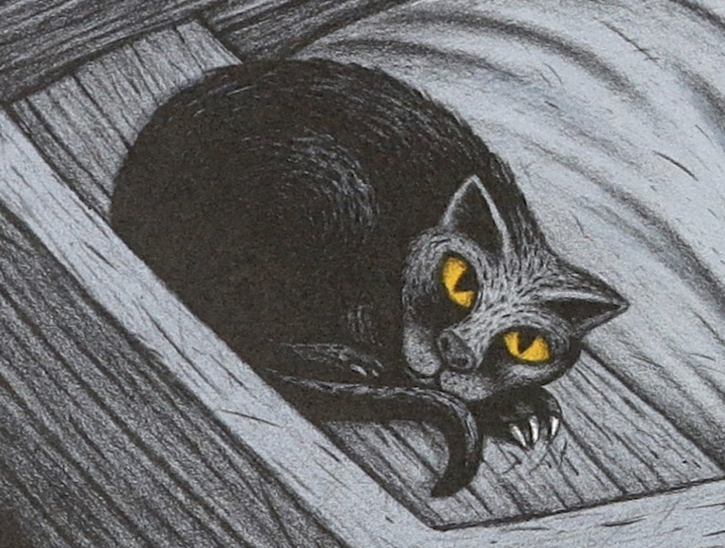 Detail of Silent Water print, showing black cat curled up with yellow eyes open