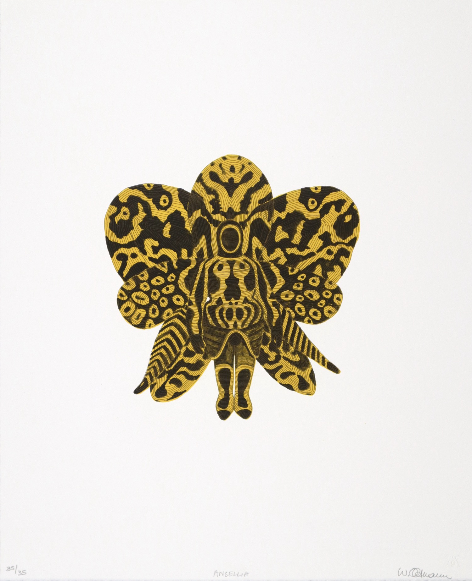 Walter Oltman Ansellia lithograph print in yellow orchid flower Walter Oltman Ansellia lithograph print in yellow orchid flower