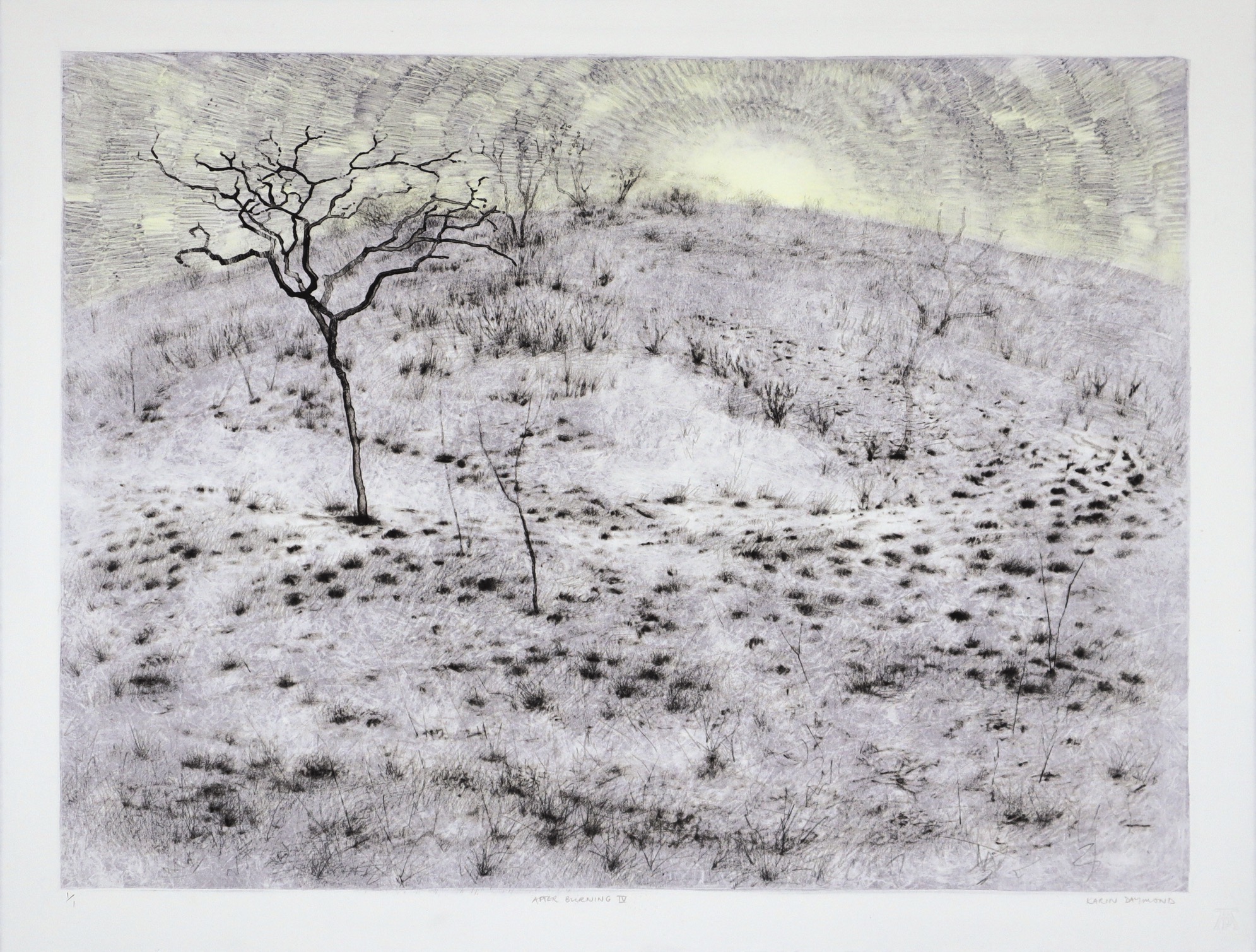 Karin Daymond After Burning IV 