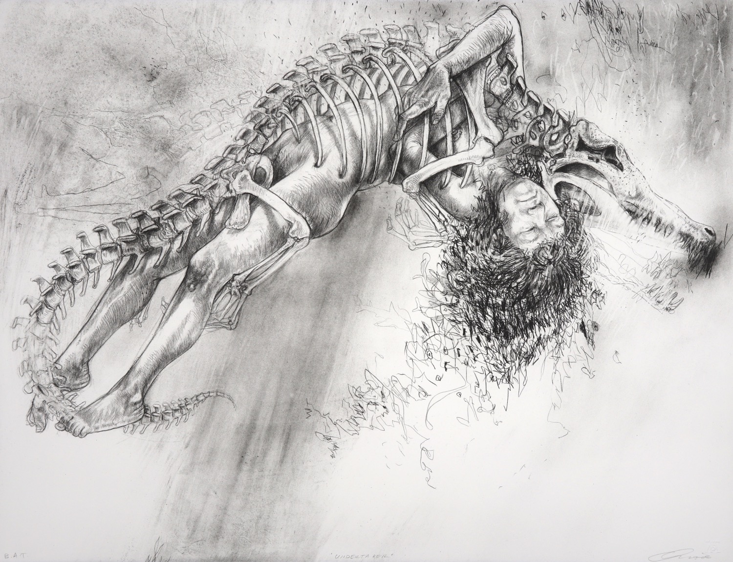 Crocodile skeleton drawn to mesh with the figure of a naked young woman.