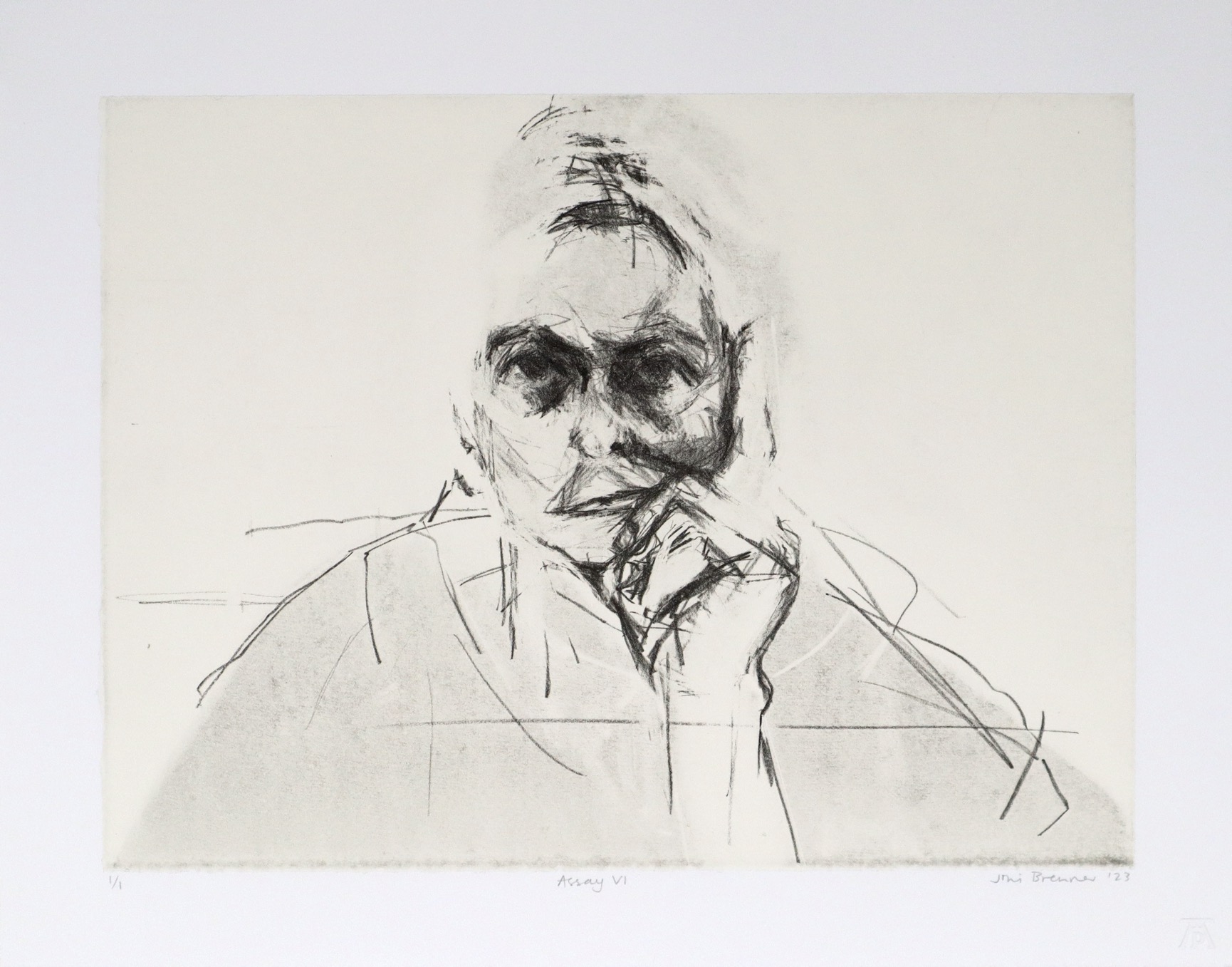 Joni Brenner Assay VI monoprint Joni Brenner Assay VI monoprint