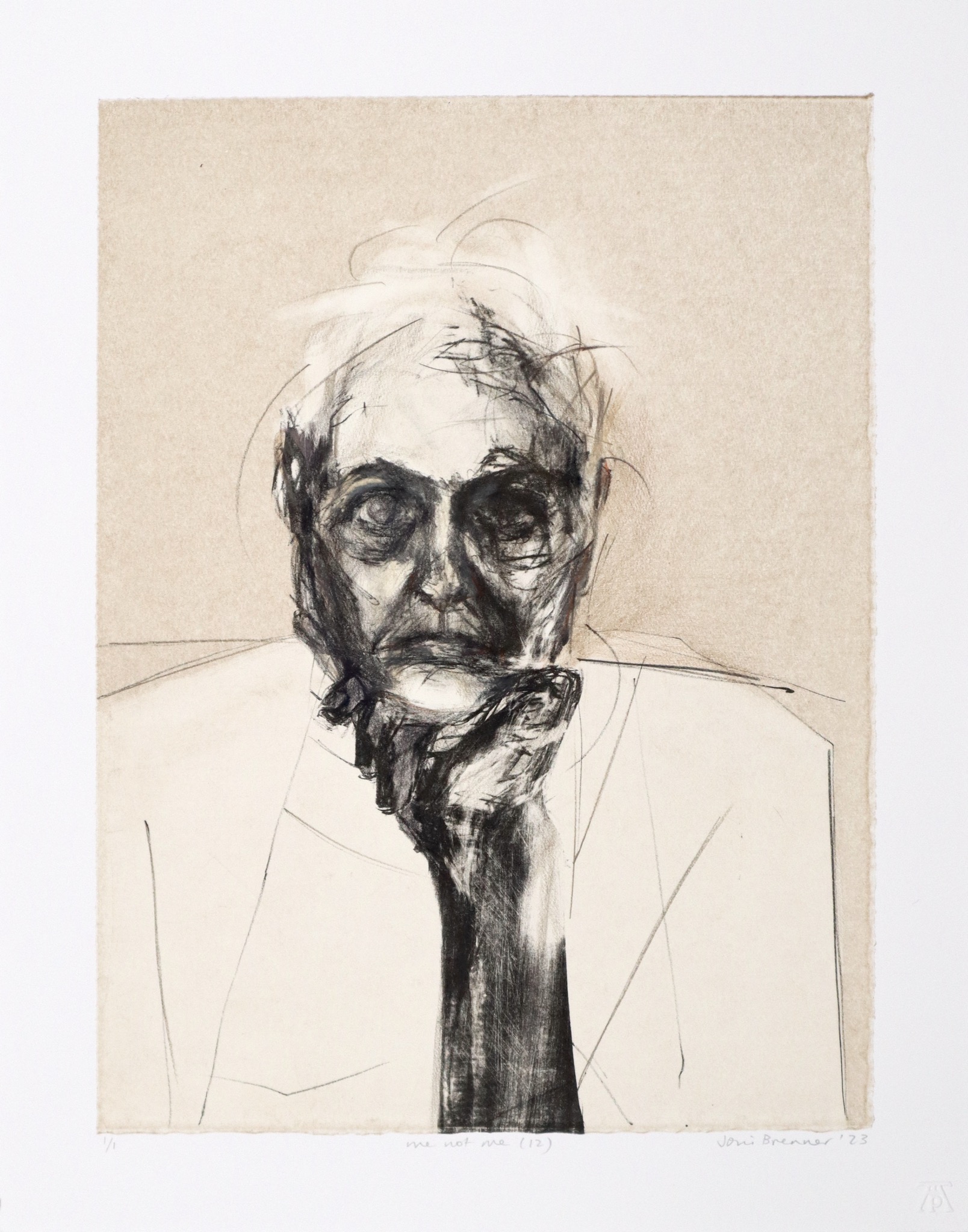 Joni Brenner Me not me 12 monoprint Joni Brenner Me not me 12 monoprint