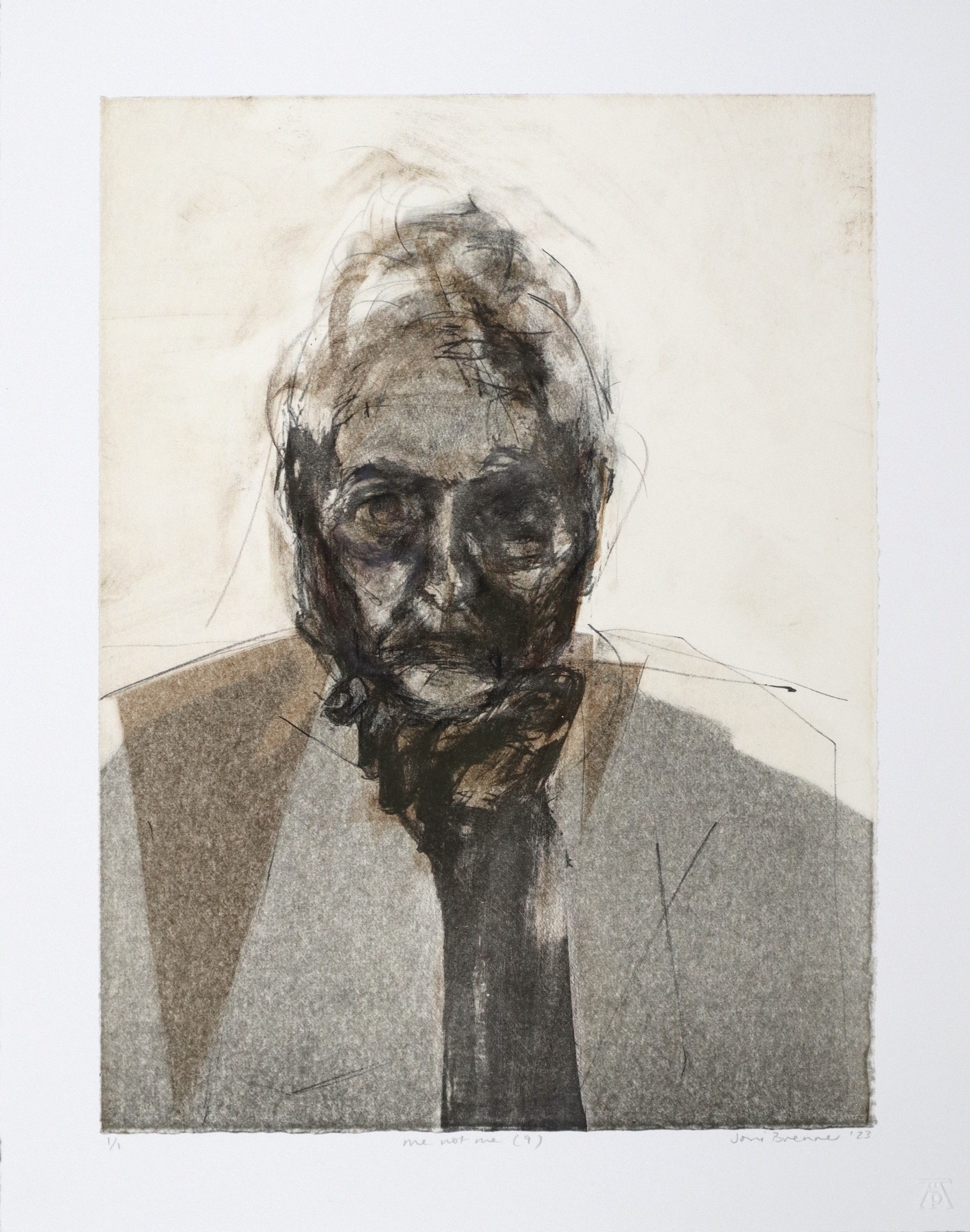 Joni Brenner Me not me 9 monoprint Joni Brenner Me not me 9 monoprint