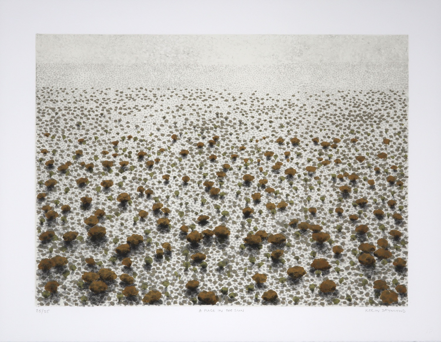 Print showing an aerial view of the Kalahari Desert with trees and scrub in foreground