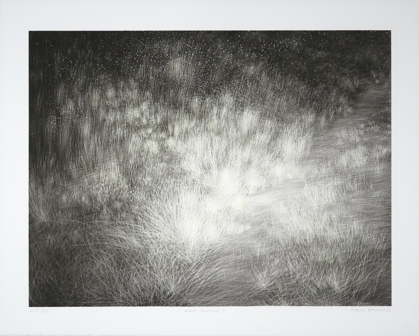 Lithograph of nighttime bushveld grass  lit up by car headlights or a game spotting torch