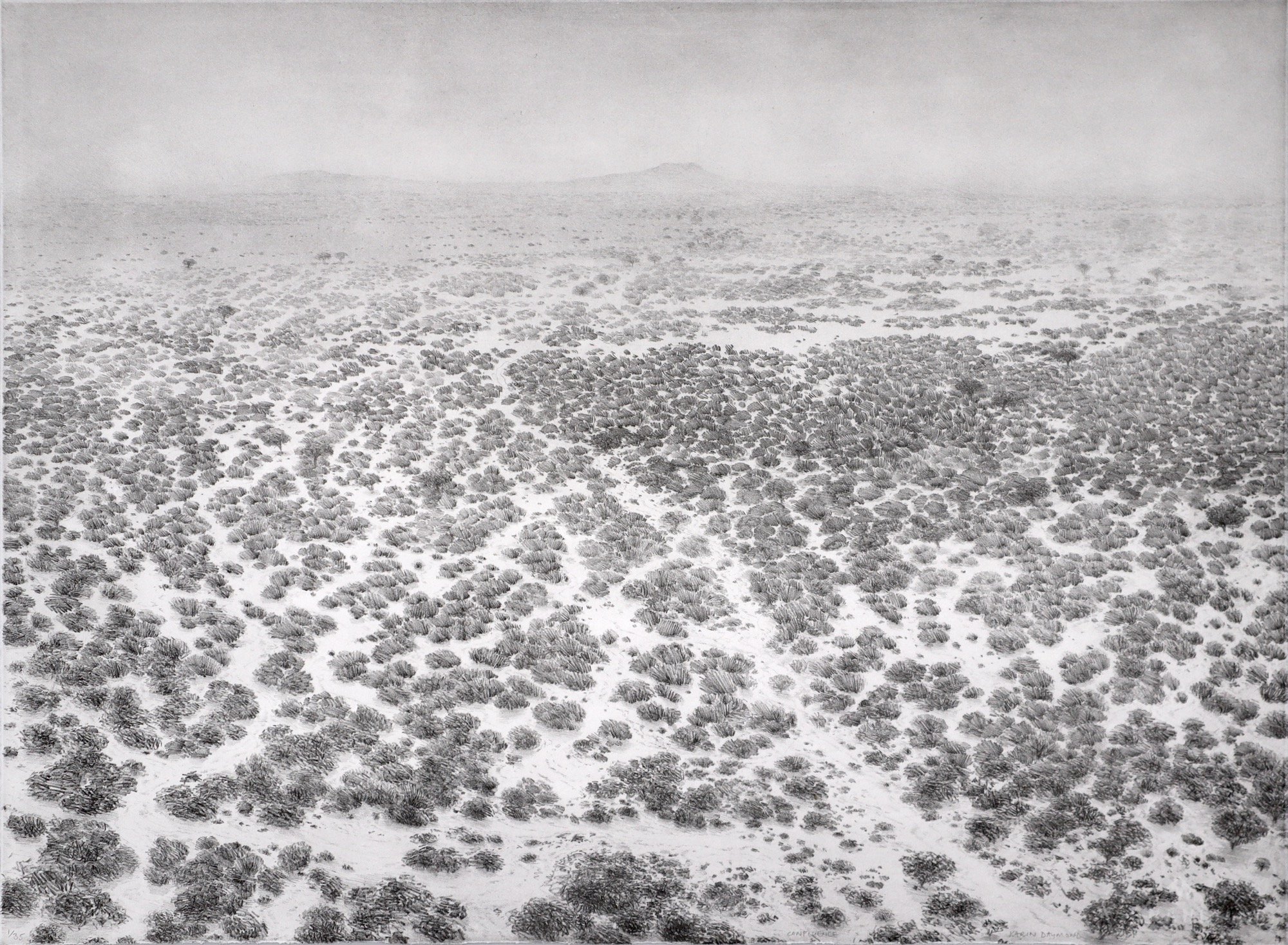 Karin Daymond Confluence lithograph 2026