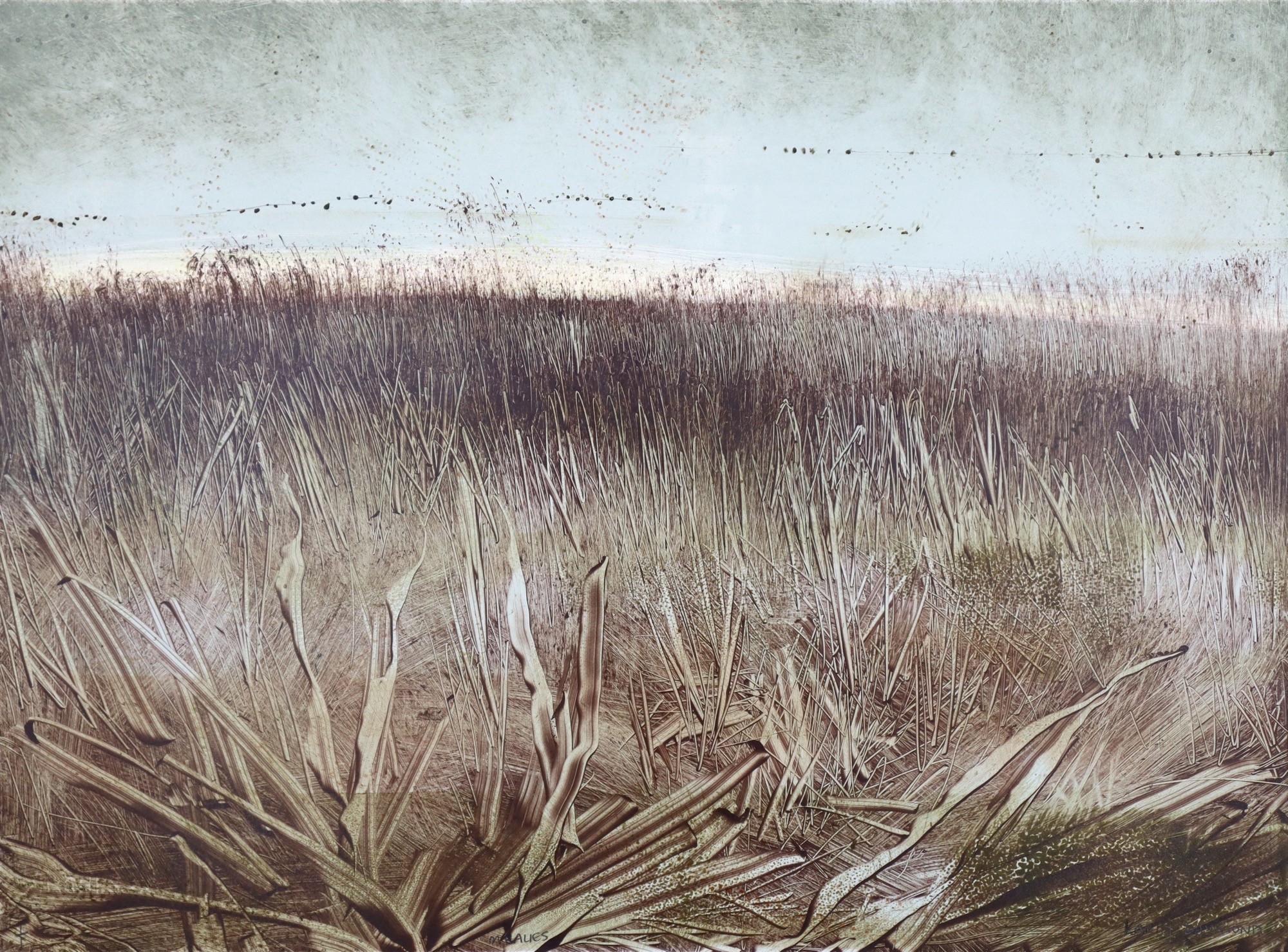 Karin Daymond Mealies