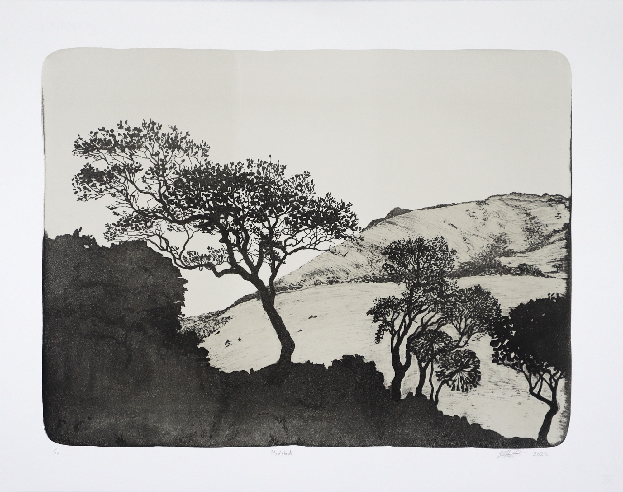 Simon Attwood Mohlohlodi 2026 lithograph