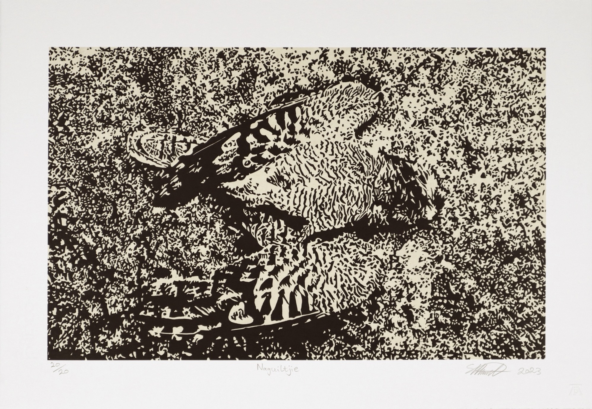 South African art nightjar bird print limited edition signed by Simon Attwood