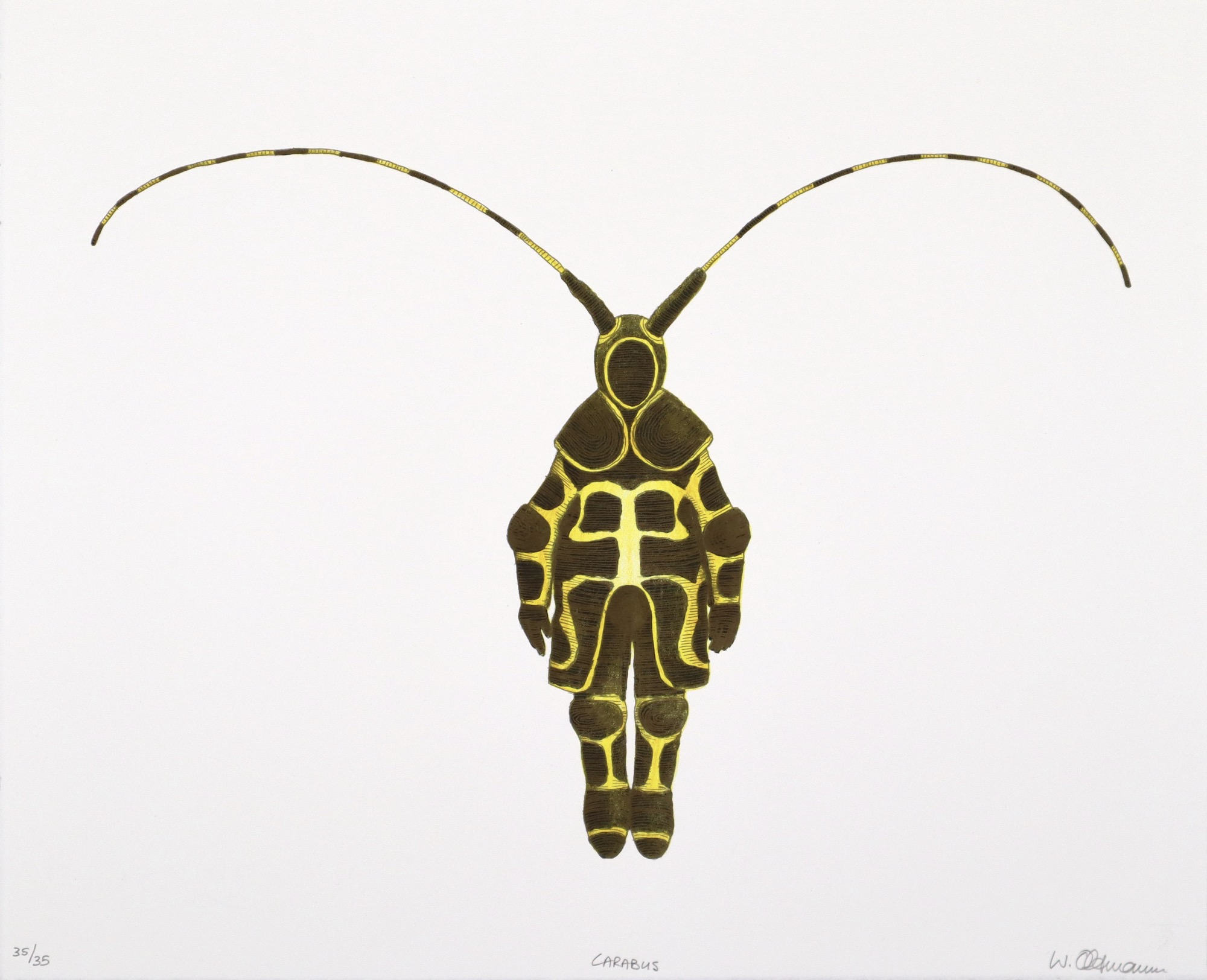 Walter oltmann Carabus colour lithograph Walter oltmann Carabus colour lithograph