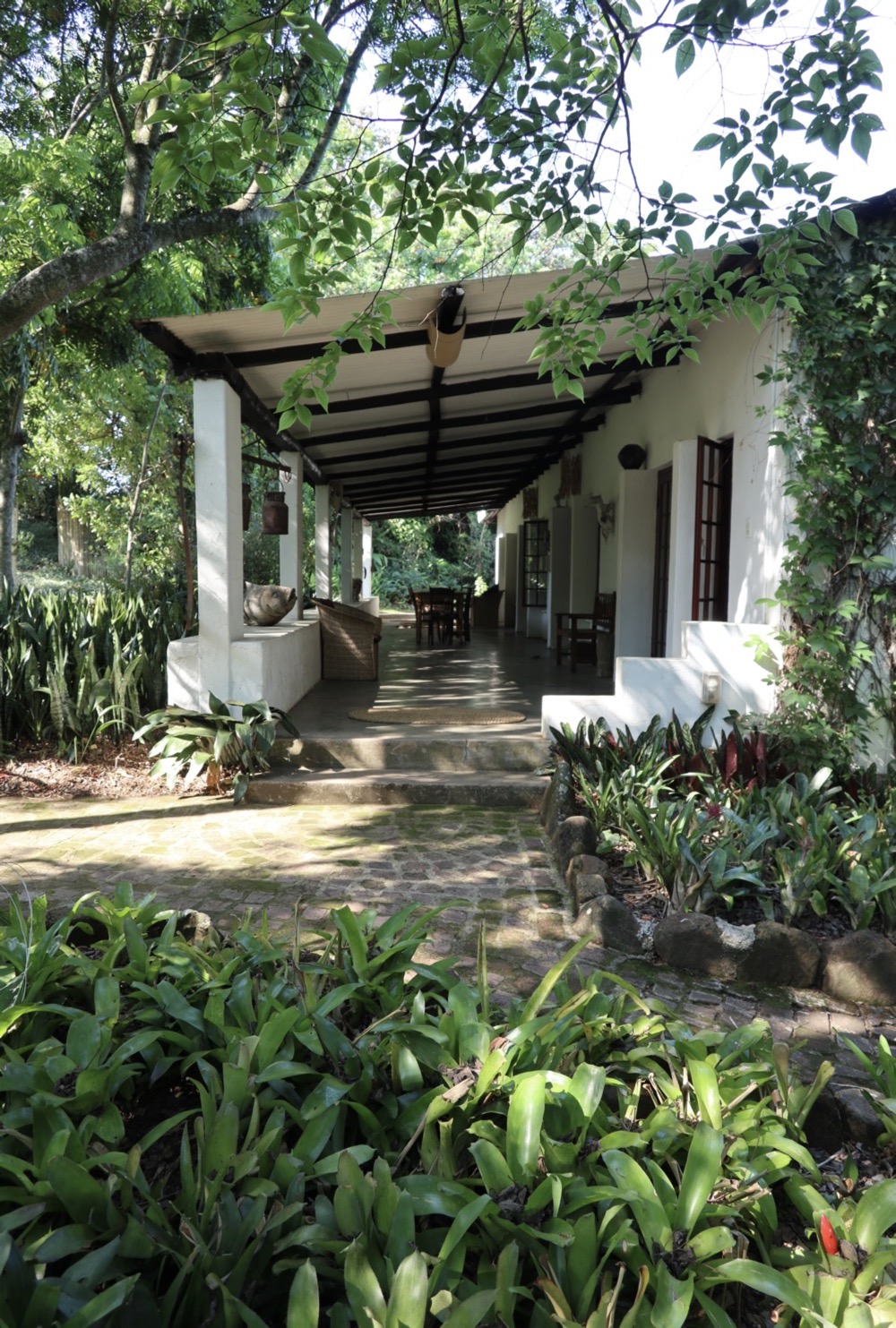 Accommodation is available at The Artists' Press Guesthouse which is a converted farmhouse set in a beautiful sprawling sub-tropical African garden.